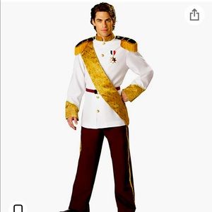 Prince Charming Costume
